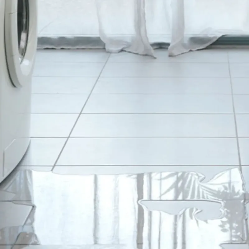 Appliance Leak Cleanup in Rincon, GA