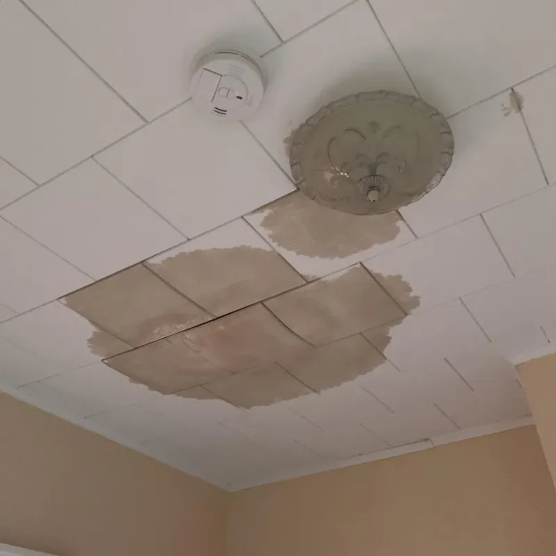 Ceiling Water Damage Repair in Rincon, GA