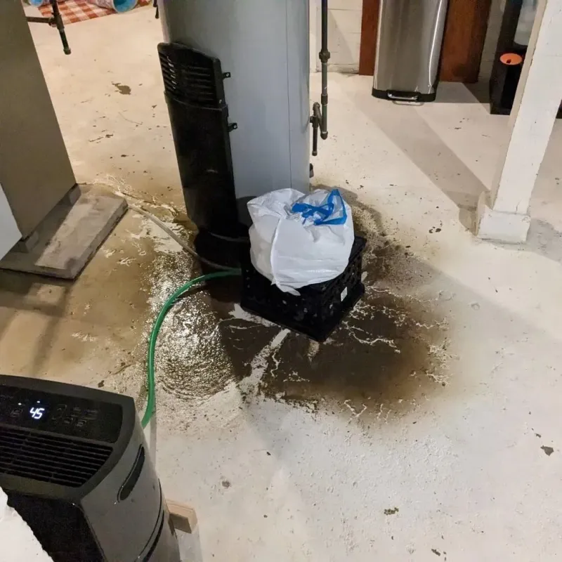 Sewage Backup Cleanup Service in Rincon, GA